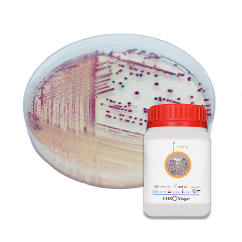 Chromagar Vibrio Polvo Para 5Lt   Chromagar ID-2091903